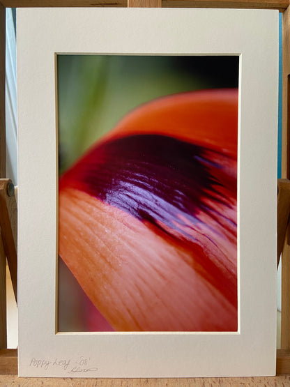 The Poppy - abstract photographic print
