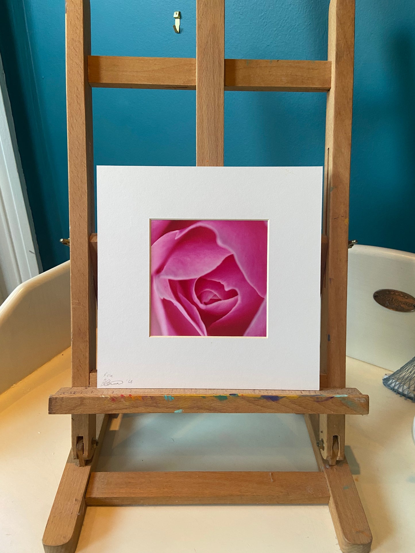 Pink Rose Square print - Limited Edition - valentines special